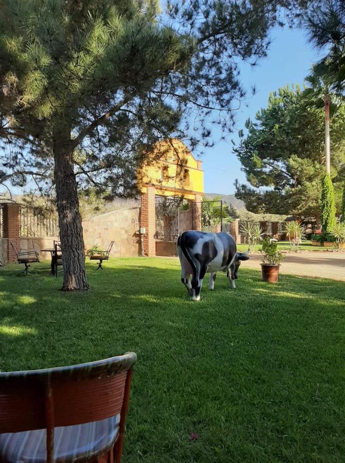 Rancho El Campanario En La Ruta Del Vino Hostel Valle de Guadalupe Exterior foto
