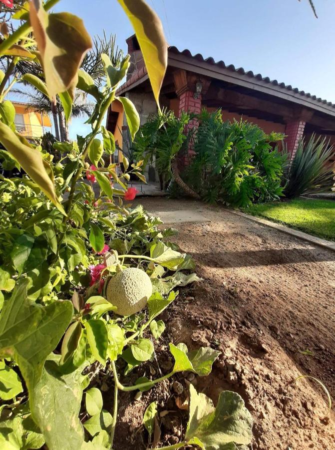 Rancho El Campanario En La Ruta Del Vino Hostel Valle de Guadalupe Exterior foto