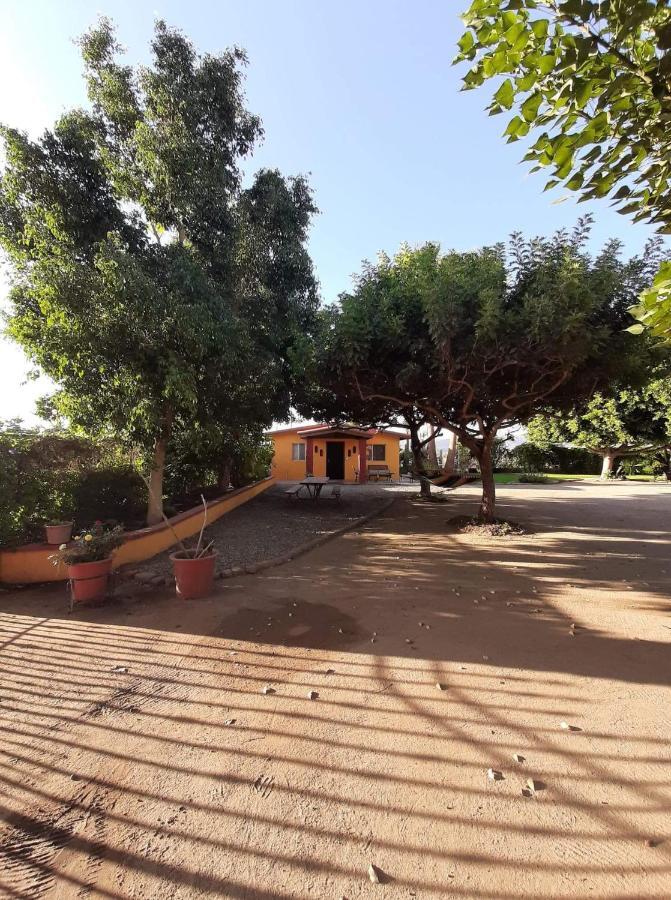 Rancho El Campanario En La Ruta Del Vino Hostel Valle de Guadalupe Exterior foto